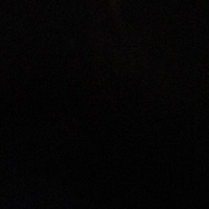 Meet your Posher, Delaney